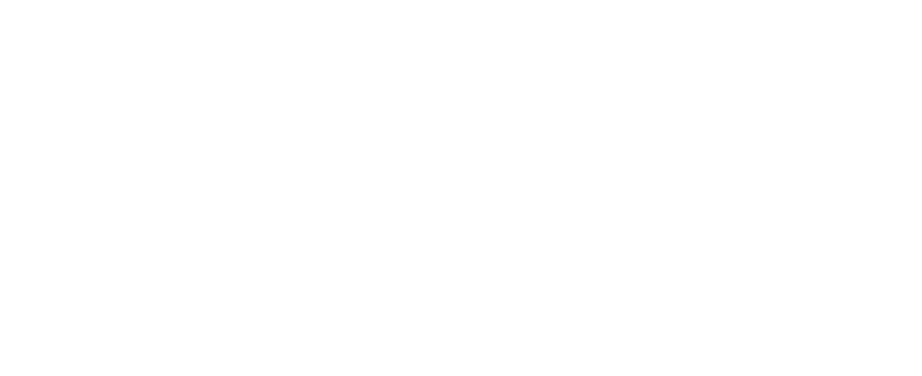 Primary Logo — White